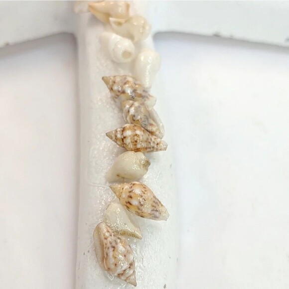 Starfish and Seashell Wall Hanging Decor Nautical Coastal Decor NWT see details - Picture 11 of 14